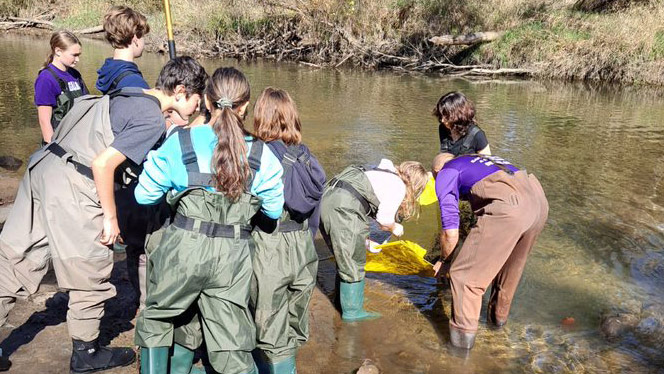 Students knee deep in marshy water.