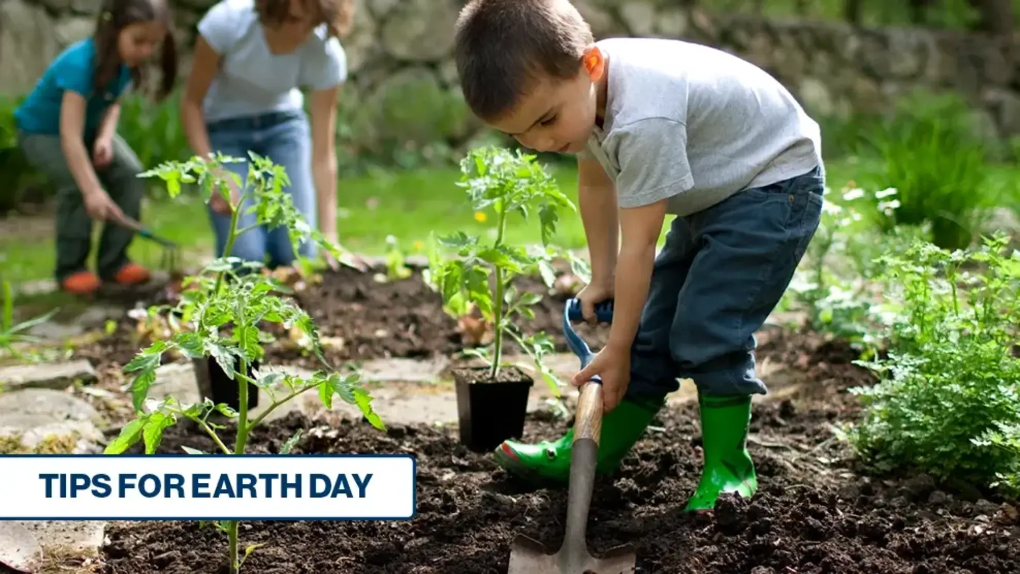 Michigan Green School Offers Tips for Earth Day