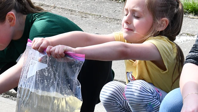 Y5-8 School in Walker: Walker Charter Academy students learn about salmon through the Michigan DNR.