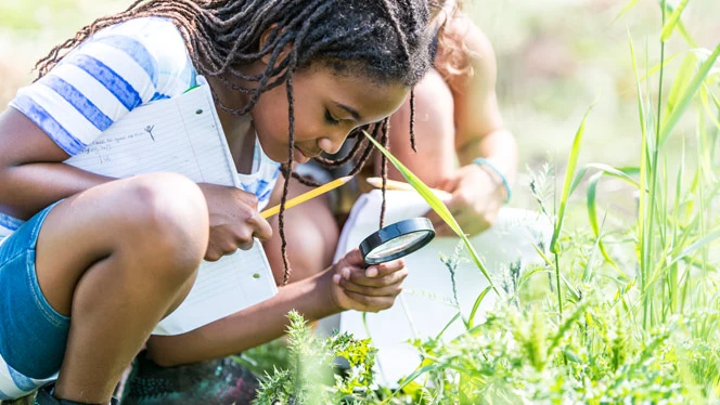 Children exploring nature