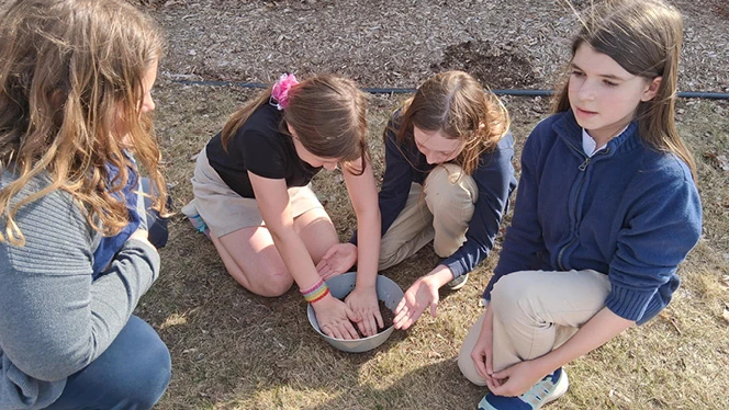 Y5-8 School in Belleville: Keystone Academy students participate in the school's new Garden Club.