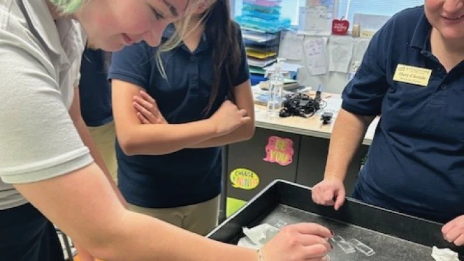 K-8 School in Wake Forest: Wake Forest Charter Academy seventh grade scholars look at mites on slides during their science class.