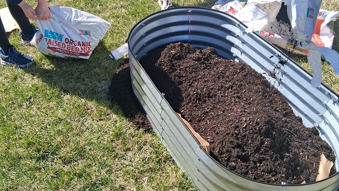 Y5-8 School in Belleville: Keystone Academy students participate in the school's new Garden Club.