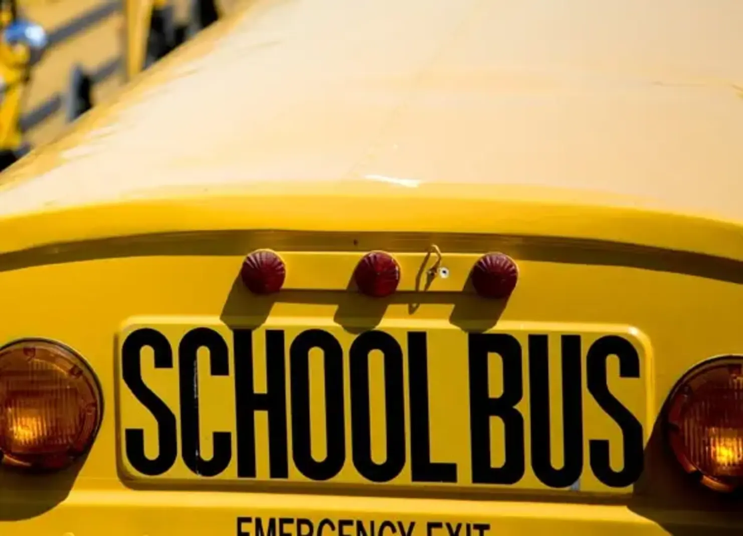 Brooklyn Excelsior Charter School, K-8 School in Brooklyn, NY