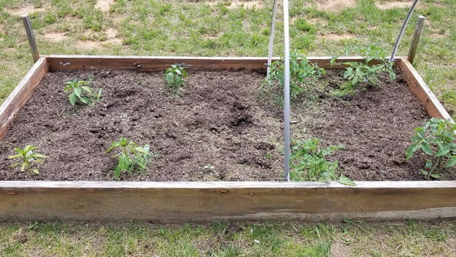 A small garden. A small garden.