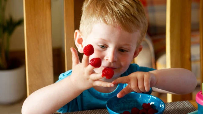 K-12 Charter Schools in Grand Rapids, MI: Child counting raspberries on fingers