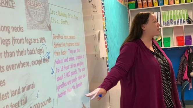 Kim Brisson instructional coach