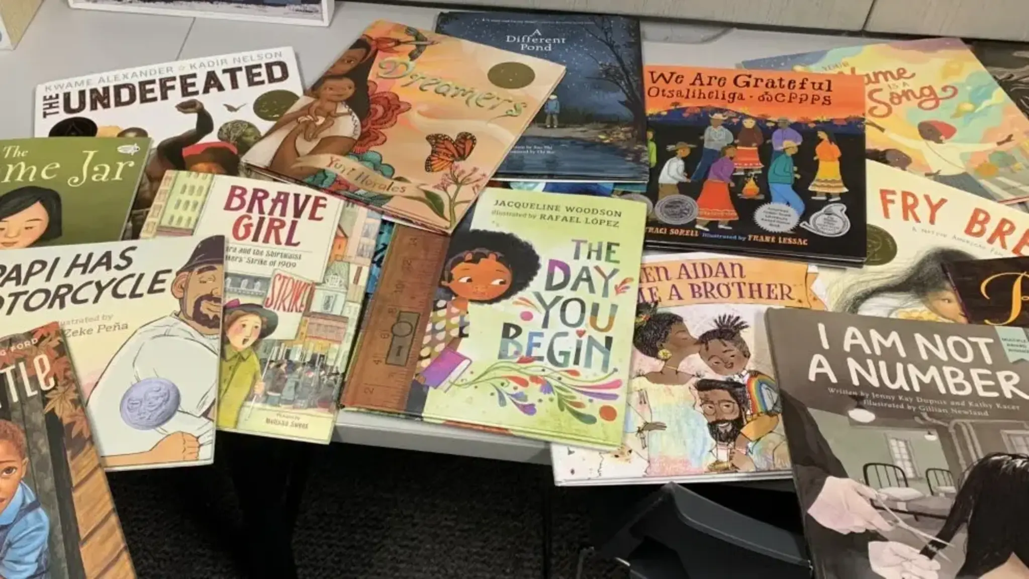 Inform and Affirm: Anti-Racist Books Fill Knapp Classrooms