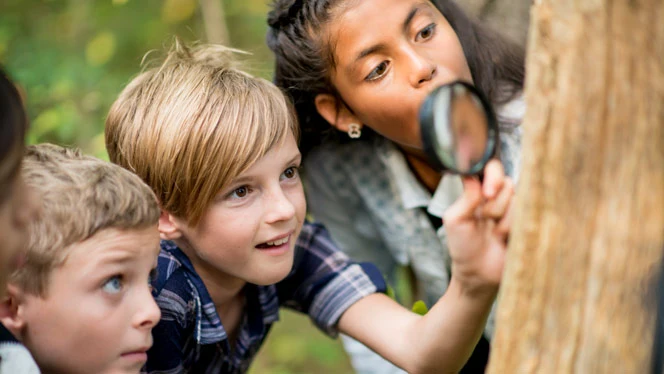 Students looking through magnifying glass at tree trunk.