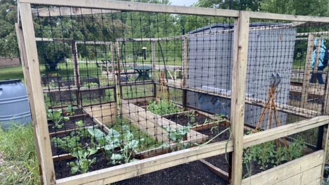 South Canton planting beds