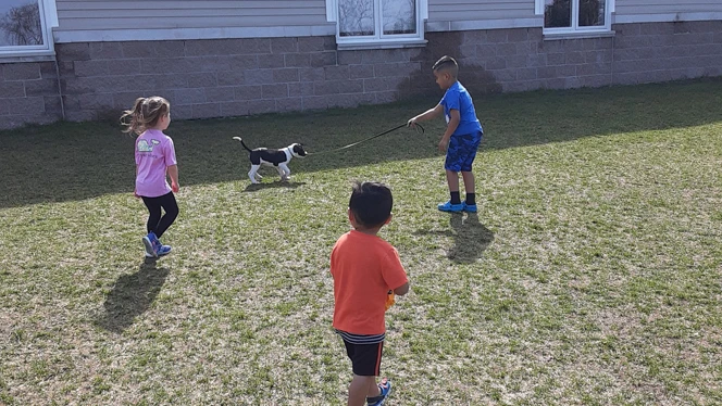 Students walking a puppy outside.