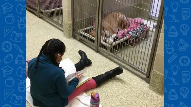 Student reading to a dog. Student reading to a dog.