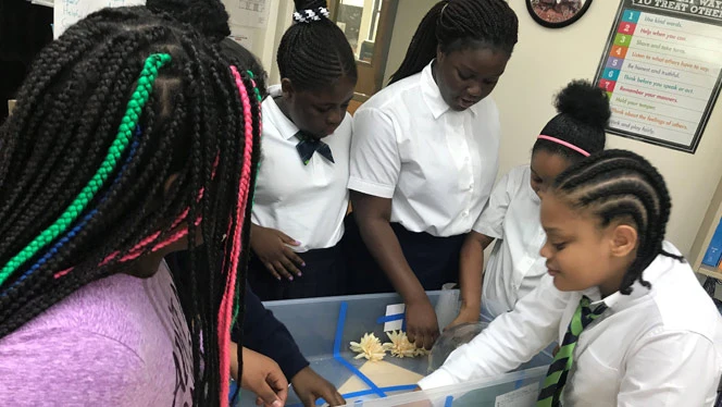 Students working together