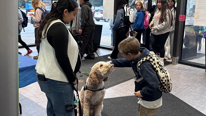 Vanderbilt_Jasper The Dog_664x374_CZ4