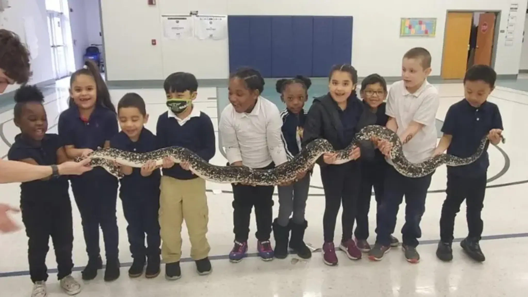 Walton Charter Academy Scholars Tame Their Nerves to Interact with Reptiles and Spiders
