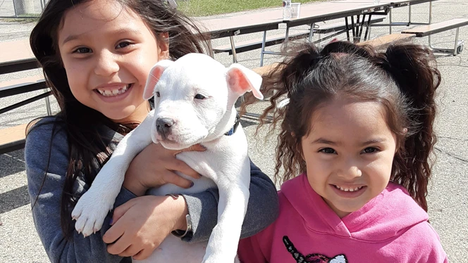 Children holding puppies.