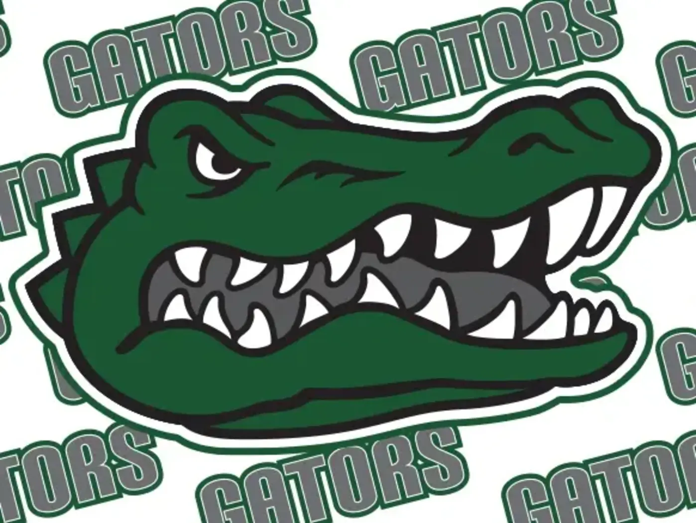 High School in Ypsilanti: Gator mascot with the word Gators in the background.