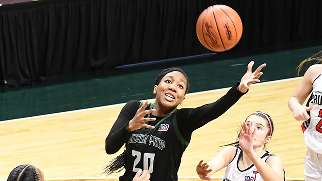High School in Ypsilanti: Arbor Prep Girl's Basketball Team wins State Championship.