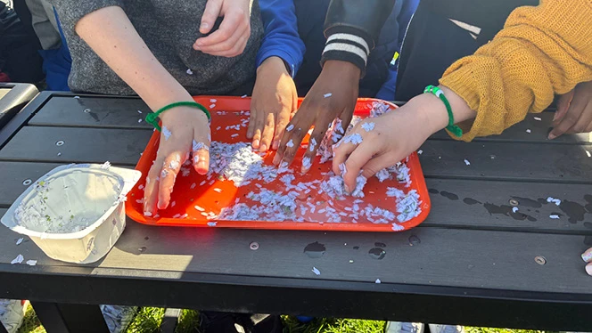 Y5-8 School in Canton: South Canton scholars participate in activities to celebrate Earth Day.