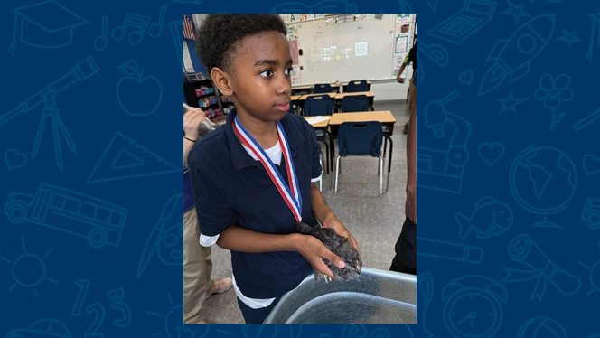 K-8 School in Cincinnati: Alliance Academy fifth graders partner with with Tikkun Farm to raise baby chicks.