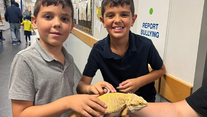 Y5-8 School in Canton: South Canton students and families participate in STEM event with Ann Arbor's Hands-On Museum.