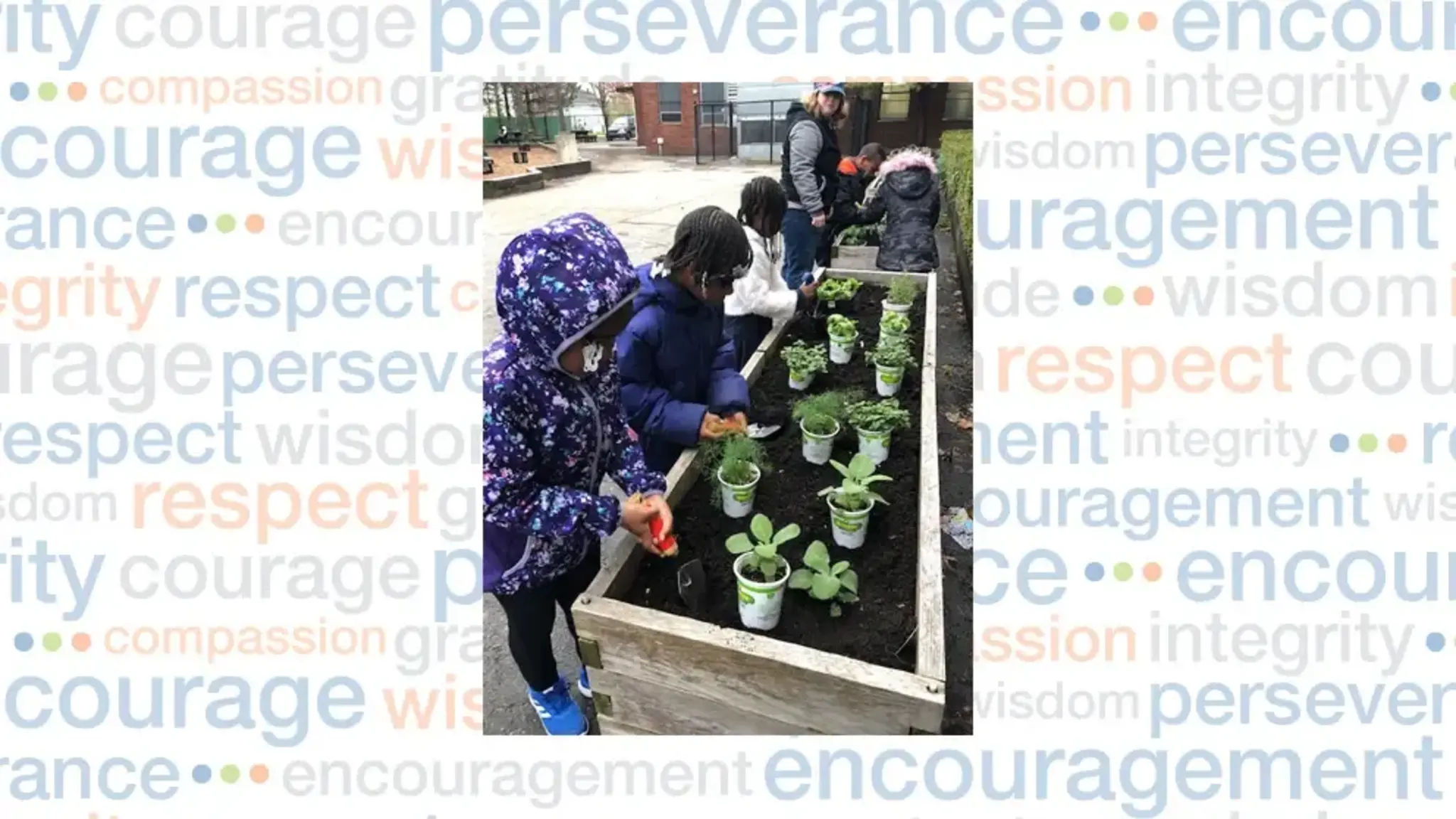 Detroit Merit Charter Academy Plants School Garden