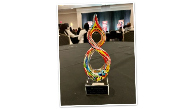 Innovation and Vision Award.