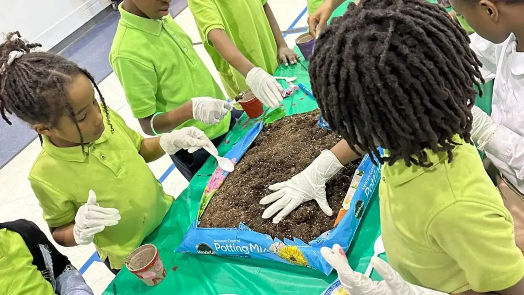 Let's Do Some Gardening at Detroit Enterprise