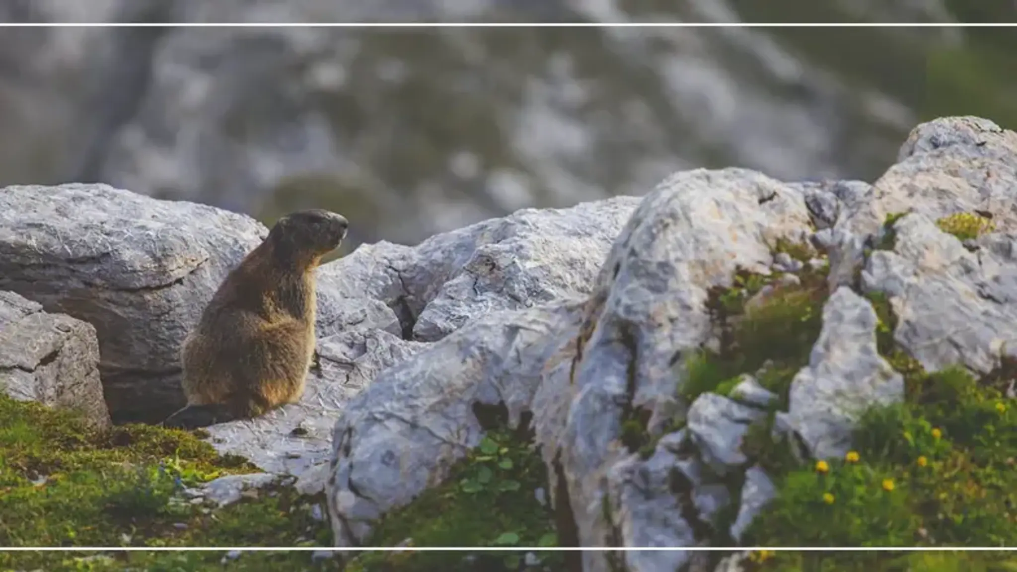 History of Groundhog Day