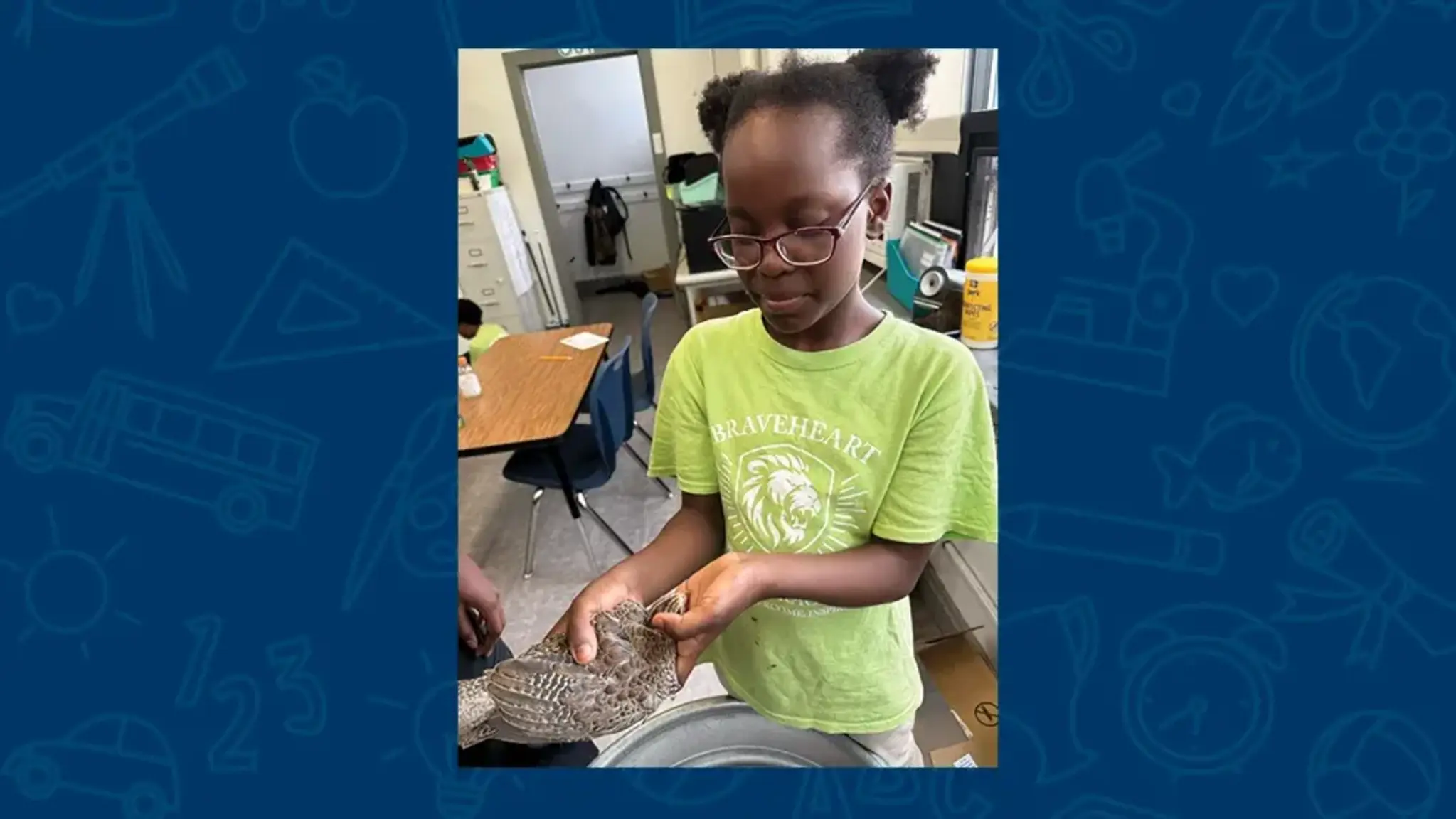 From Farm to Fifth Grade: The Fluffy New Residents of Alliance Academy