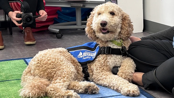 Vanderbilt_Jasper The Dog_664x374_CZ3