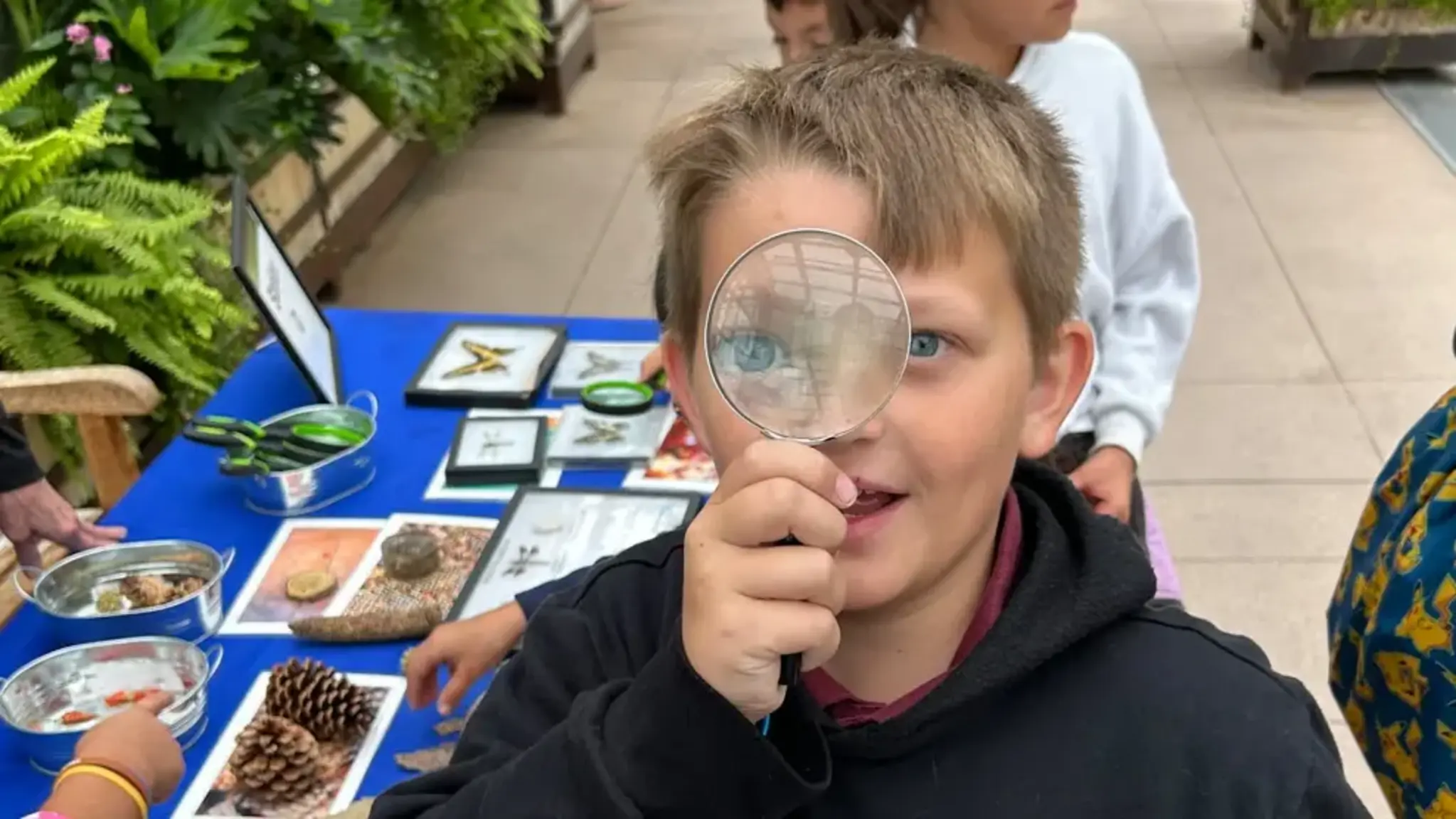 Exploring the Denver Botanic Gardens