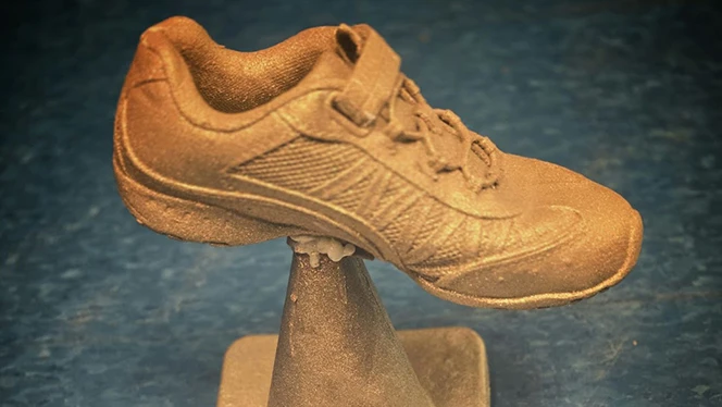 Charter School in Grand Rapids: Shoe sitting on top of cone.