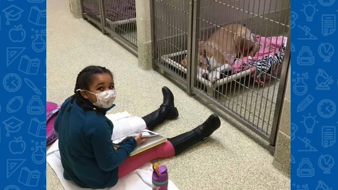 Student reading to a dog. Student reading to a dog.