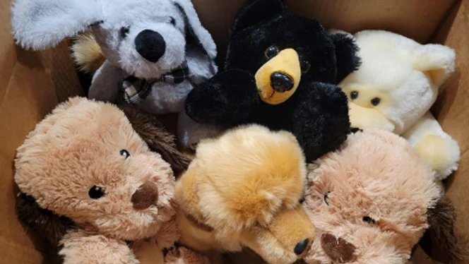Box of teddy bears.