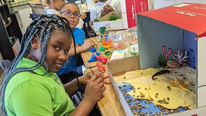 Students work on their ecosystem dioramas during class.