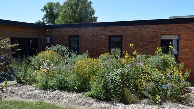 Grand River Prep garden
