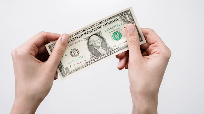One dollar bill
