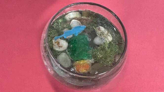 K-8 School in Walker: Walker student Laney Bruin fishbowl.