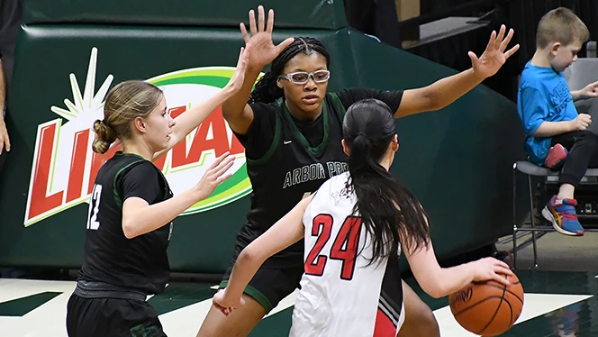 High School in Ypsilanti: Arbor Prep Girl's Basketball Team wins State Championship.