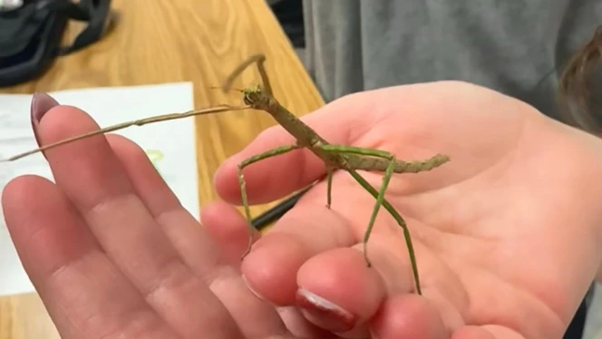 K-8 School in Commerce City: Landmark Academy students join new Bug Club.