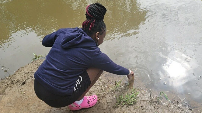 Student reaching in the water