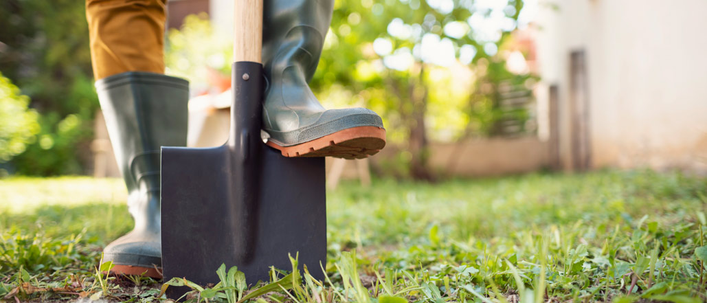 Create a Pandemic Time Capsule