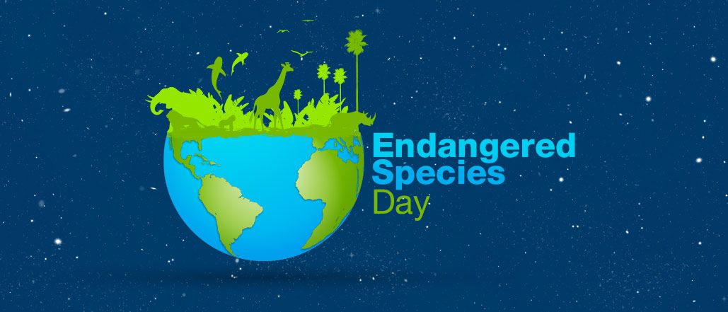 Take Family Action for Endangered Species Day