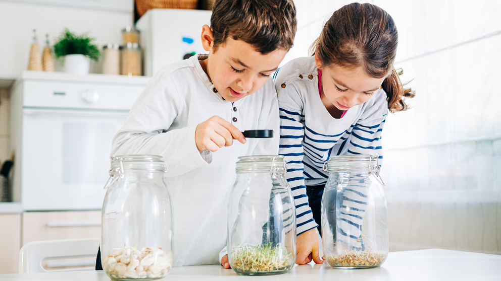 Two students working on a science project together at home