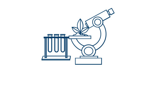 Microscope illustration