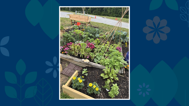 K-8 School in Greensboro: Gate City fifth graders help bring community garden alive.