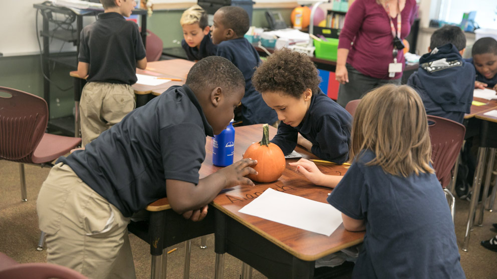 Student reading a book