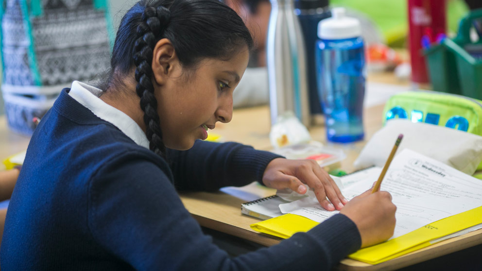 Student reading a book