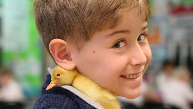 Student with a baby duck.